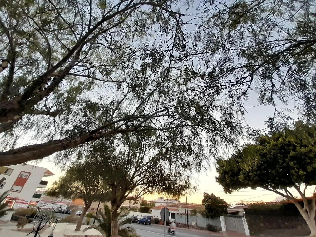 Tenerife Homestay Сан Мигель