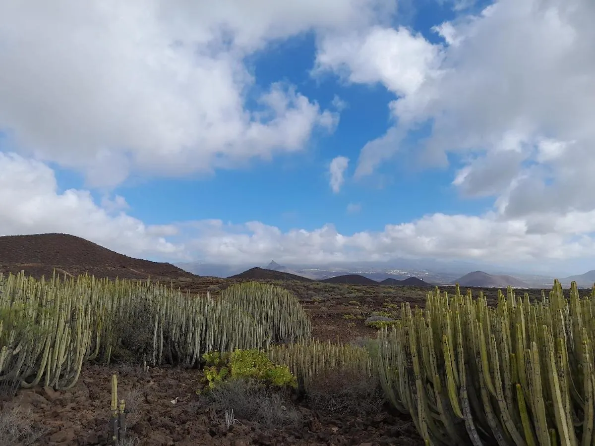 Tenerife Homestay San Miguel de Abona