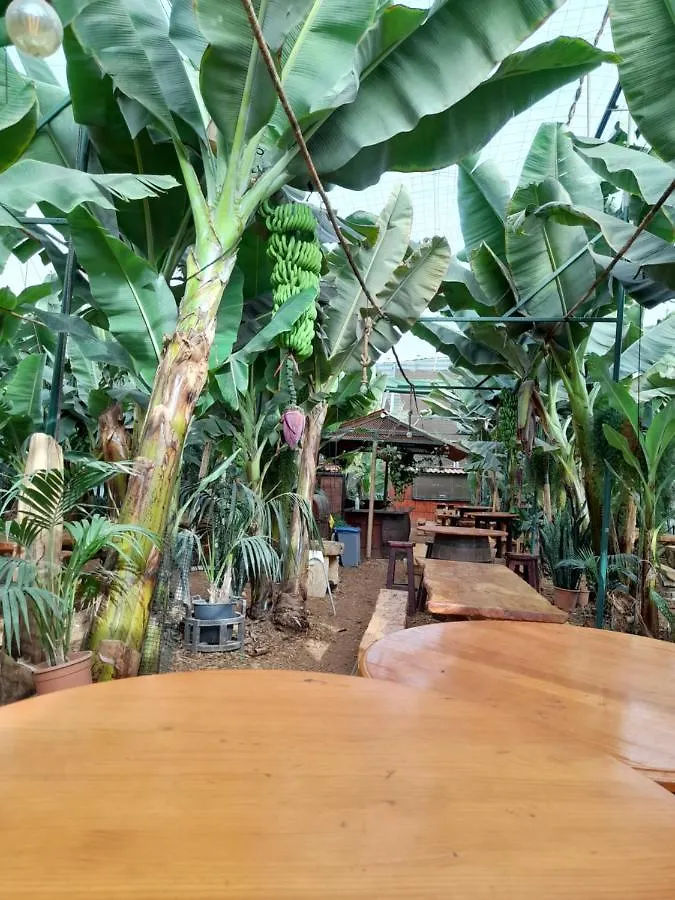 Tenerife Homestay Сан Мигель Испания